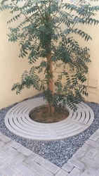 Concrete Tree Grater Supplier in Abu Dhabi
