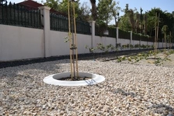 Concrete Tree Grater Supplier in Sharjah