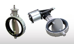 Disc for butterfly valve from BAVARIA EQUIPMENTS