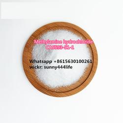  Methylamine hydrochloride CAS593-51-1