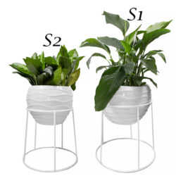  Plant Stands