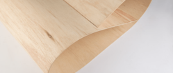  Bendable Plywood