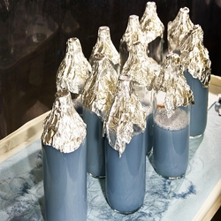 Horseshoe Crabs Blood