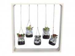 Plants In Hanging Glass Jars 