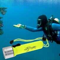 Diving Torch