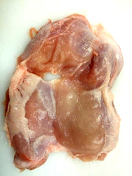 Boneless skinless chicken leg meat from MEAT PRO LLC