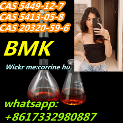 FACTORY SELL CAS 5449-12-7 BMK GLYCIDIC ACID SODIUM SALT WITH SAFE SHIPMENT