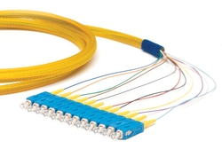  fiber optic pigtails from SYNERGIX INTERNATIONAL