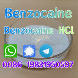 Pain Killer Benzocaine Powder Cas 94-09-7 Benzocaine Supplier In China