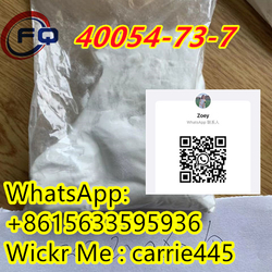 40054-73-7    Deschloroetizolam 99%