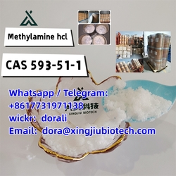 593-51-1 Methylamine Hydrochloride