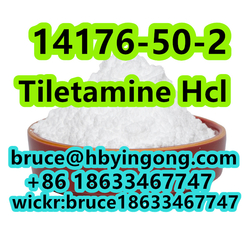  CAS 14176-50-2 Tiletamine Hcl Ketamine