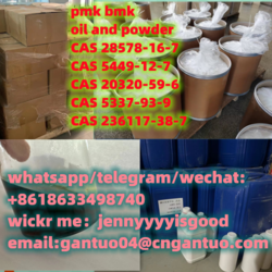 Bmk CAS 20320-59-6  CAS 5337-93-9 CAS 236117-38-7  from GANTUOBIO