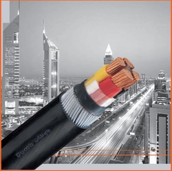 DUCAB 2 Core XLPE Armoured Cable SUPPLIER IN ABU DHABI from RIG STORE FOR GENERAL TRADING LLC