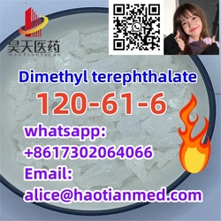 Dimethyl Terephthalate	120-61-6