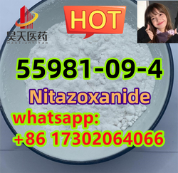Nitazoxanide	55981-09-4