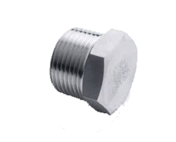 Stainless Steel Forged Plug