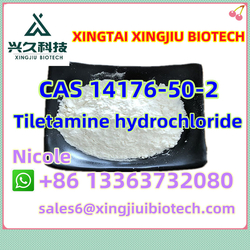 Tiletamine hydrochloride CAS 14176-50-2 Safe Clearance White Powder from XINGTAI XINGJIU NEW MATERIAL TECHNOLOGY CO.