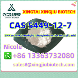 Hot Sale Bmk Powder Cas 5449-12-7 Sodium,2-methyl-3-phenyloxirane-2-carboxylic Acid 