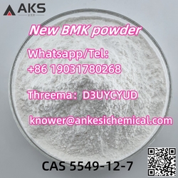 Factory Price High Quality BMK Glycidic Acid (sodium salt) CAS 5449-12-7