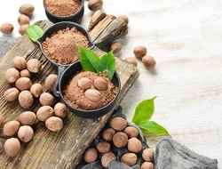 Pala Seed: Nutmeg (myristica Fragrans)