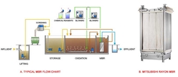Sewage Treatment Systems