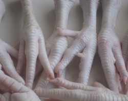 Frozen Chicken Feet and Chicken Paws For sale