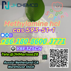 Large Stock Low Price CAS 593-51-1 Methylamine hydrochloride   Threema: Y8F3Z5CH		