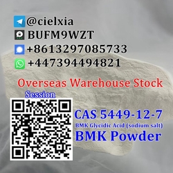 WhatsApp +447394494821 Cheap Price CAS 5449-12-7 New BMK Powder BMK Glycidic Acid (sodium salt) 