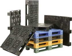 Wooden pallet and Plastic Pallet