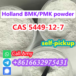 CAS 5449-12-7 New BMK Powder 