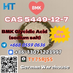 BMK Glycidic Acid (sodium salt) #5449-12-7 from HAITE INTERNATIONAL T`RADING CO., LTD