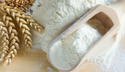 HIGH QUALITY WHEAT FLOUR HIGH QUALITY COMPETITIVE PRICE IN 2024