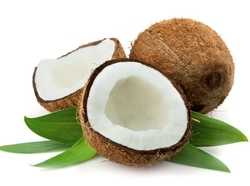 Best Sale High Quality Dried Coconut Best Price 2024