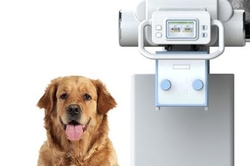 VETERINARY MEDICAL SUPPLIERS from PARAMOUNT MEDICAL EQUIPMENT TRADING LLC 