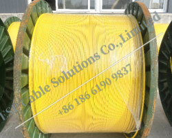 Tubing encasulated line