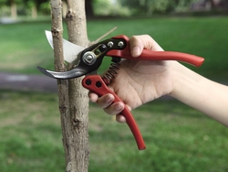 Professional Garden Hand Pruner - 3169-1 from WINLAND GARDEN TOOLS CO., LTD