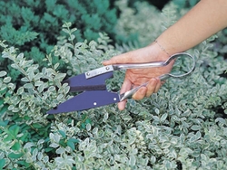 Leafage and Grass Shears - 3151