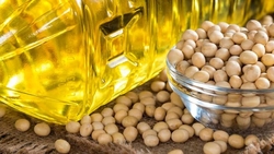 SOYBEAN OIL