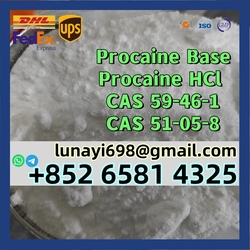 100% Customs Clearance Procaine Base/ Procaine Hcl CAS 59-46-1/51-05-8 from LINKONG TRADING CO.