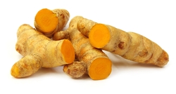 Turmeric Finger from SKYEDGE OVERSEAS