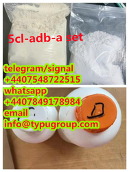 precursor 5cl-adb-a cas13605-48-6 from TYPU GROUP CO.,LTD.