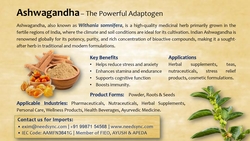 Ashwagandha Powder & Roots from NEEDSYNC SOLUTION LLP