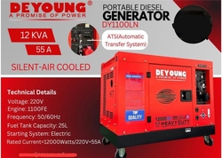 Deyoung 12kva portable diesel generator in UAE