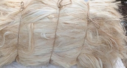 Sisal Fibre