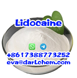 Pharmaceutical Intermediate  CAS 137-58-6 Local Anesthesia Raw Powder Bulk Lidocaine Powder