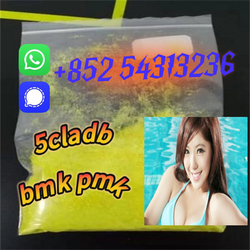 Synthetic 5cladb 5CLADBA adbb +852 54313236