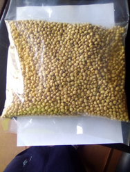 Nigerian Non-GMO Soybeans – Grade A