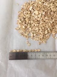 OAT FLAKES from LIDKON