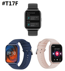  Toleda AI CHATGPT SMARTWATCHES-T17F(FR5086)